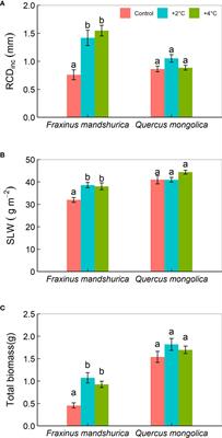 Different responses of growth and physiology to warming and reduced precipitation of two co-existing seedlings in a temperate secondary forest